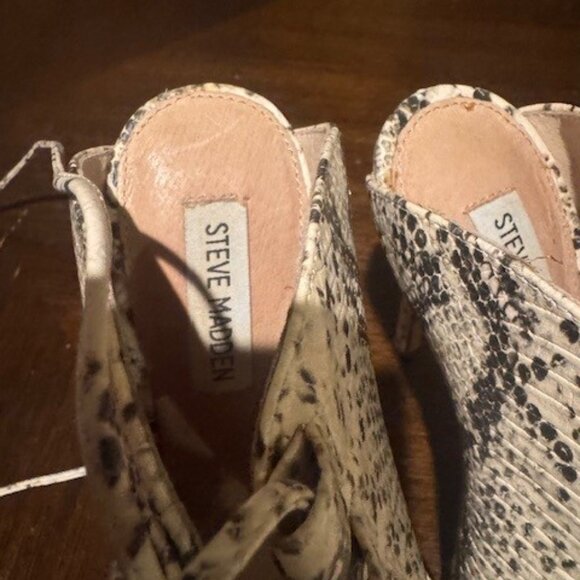 Steve Madden Snakeskin booties - Picture 5 of 8